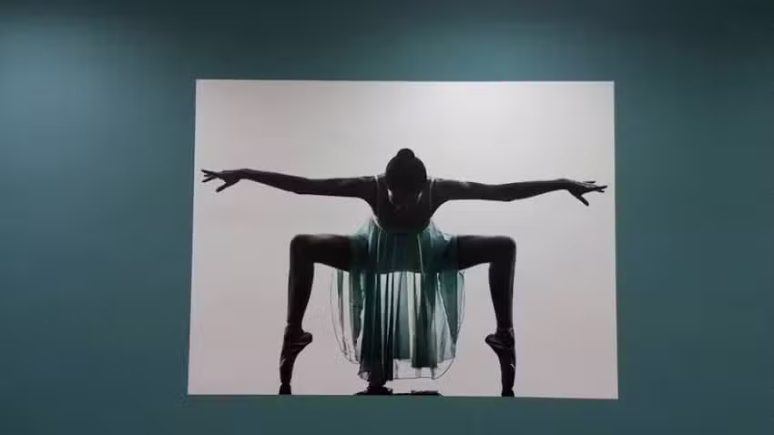 Fundamental Wellness