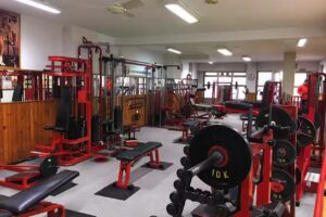 Gimnas.,io California León