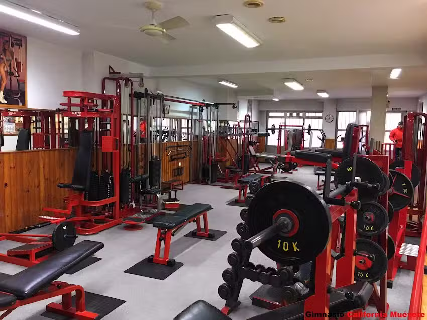 Gimnas.,io California León