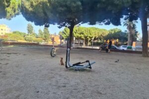Gimnasio al aire libre