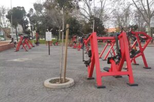 Gimnasio al Aire Libre