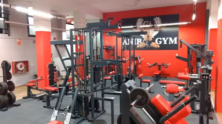Gimnasio Aníbal