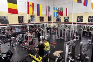Gimnasio Área fitness- Vecindario