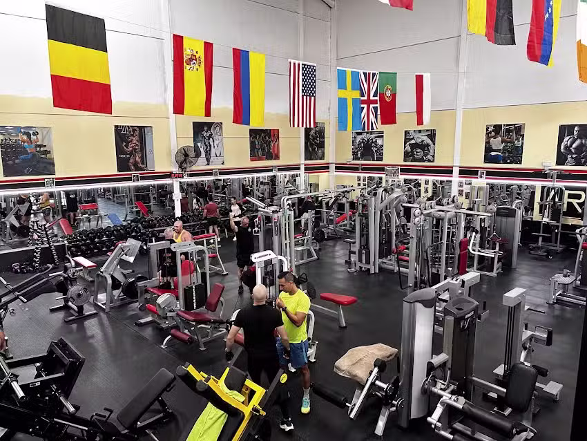 Gimnasio &Aacute;rea fitness- Vecindario