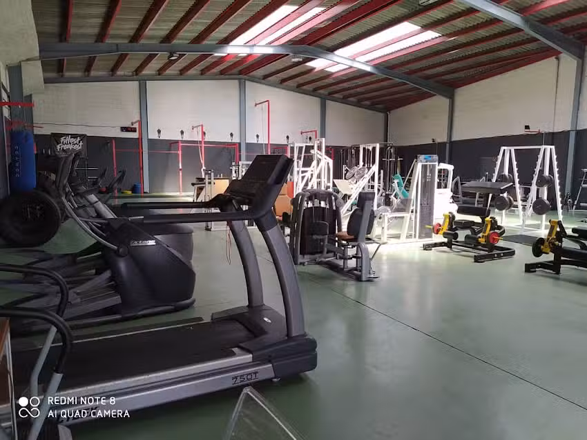 Gimnasio Club Esportiu Ludus