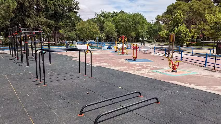 Gimnasio de Calistenia