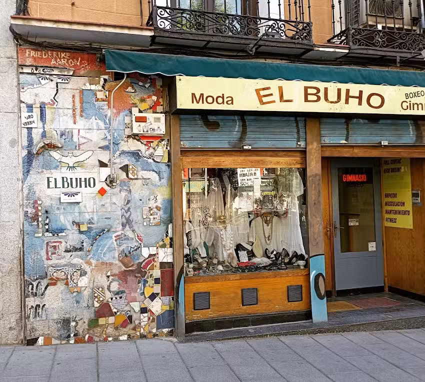 gimnasio el b&uacute;ho