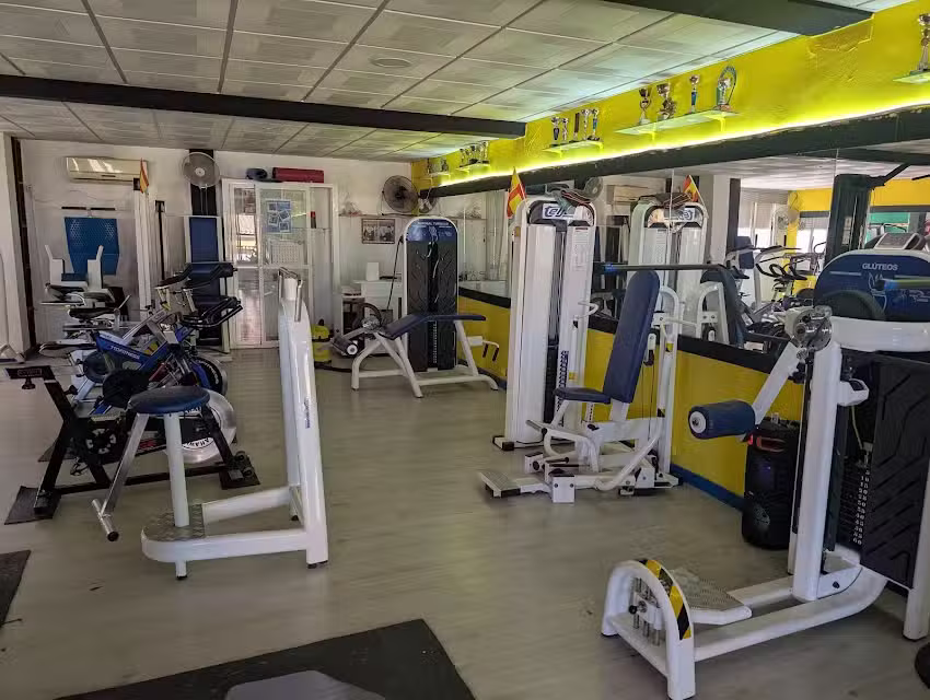 Gimnasio «El Lince»