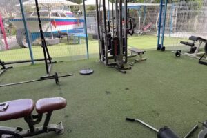 Gimnasio escarlata (no gratuito)