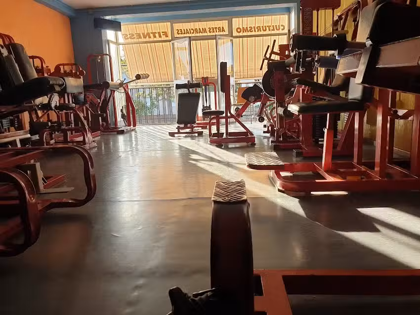 Gimnasio Fernando
