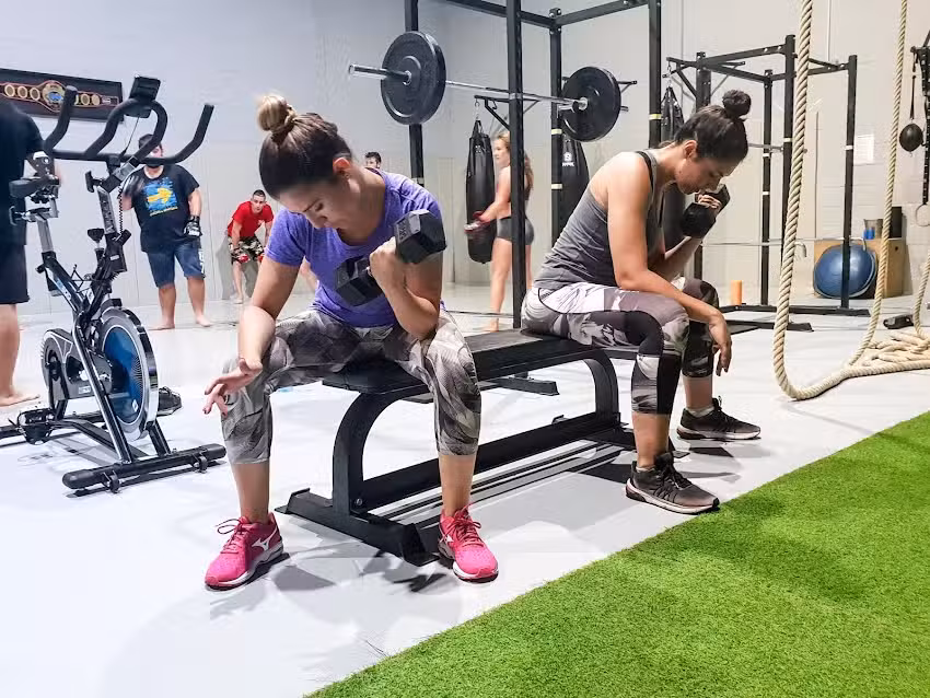 Gimnasio FYD Gandia &ndash; Attitude MMA
