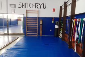 Gimnasio karate Kamerikando
