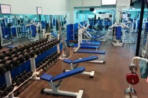Gimnasio Kine Algorta