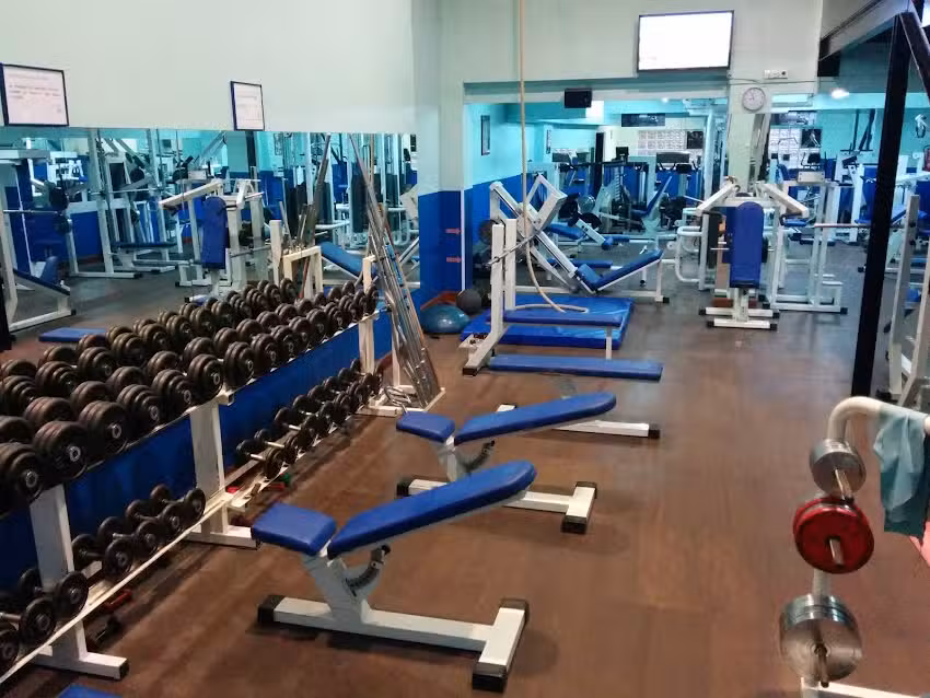 Gimnasio Kine Algorta
