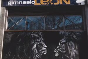 Gimnasio León – Tu Gimnasio en Pamplona