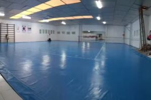 Gimnasio Moon ( Osca Taekwondo I )