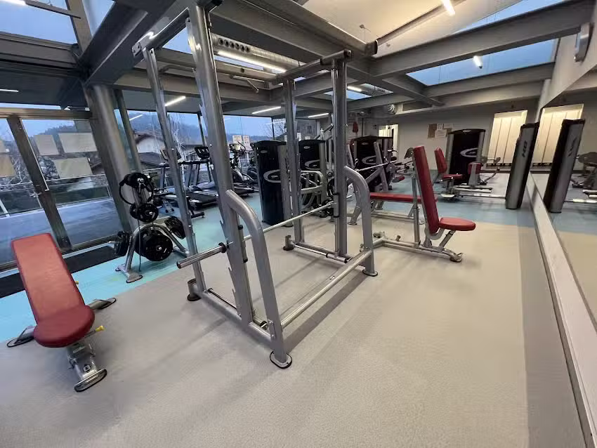 Gimnasio Municipal de Lezama / Lezamako Udal Kiroldegia