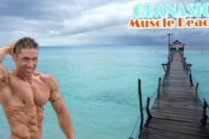 Gimnasio Muscle Beach