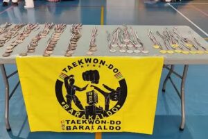Gimnasio Taekwon-do Barakaldo Escuela de Artes Marciales