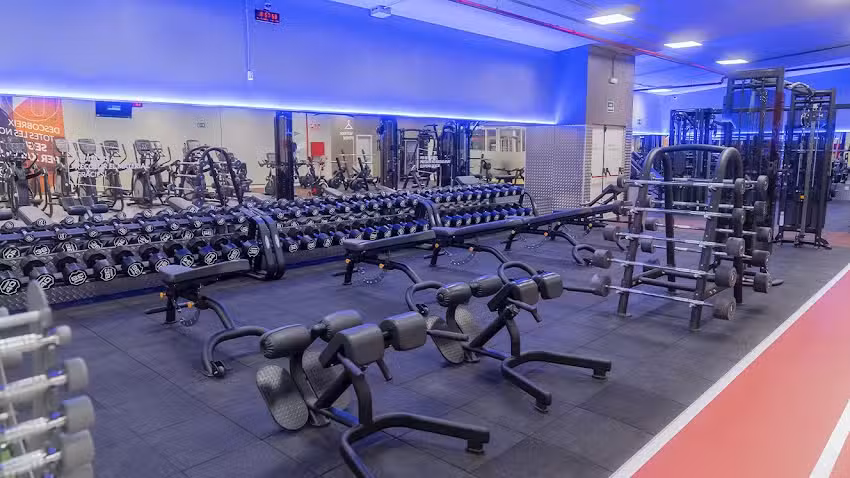 Gimnasio VivaGym Berl&iacute;n