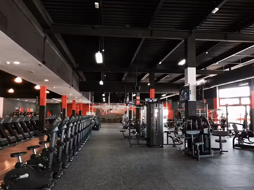 Gimnasio VivaGym Imaginalia