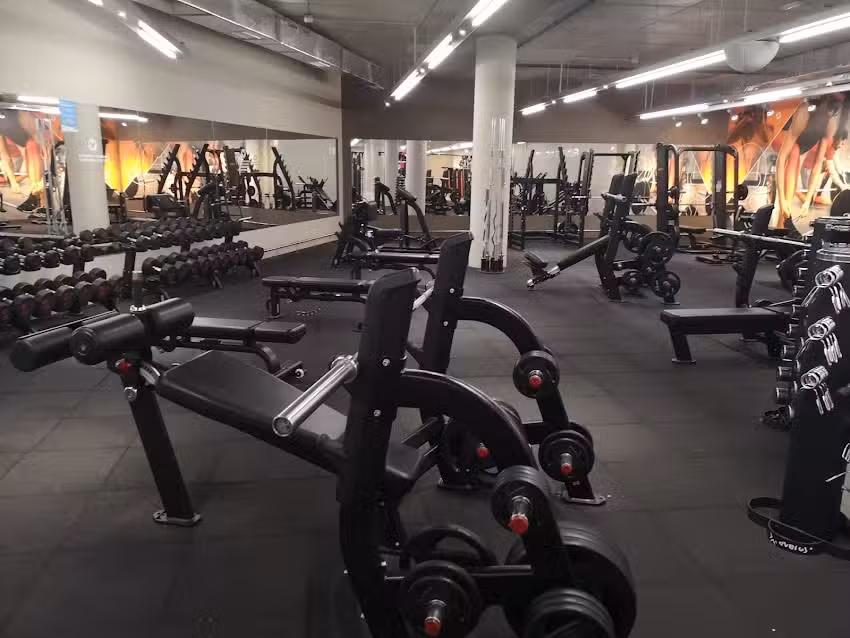 Gimnasio VivaGym Magoria