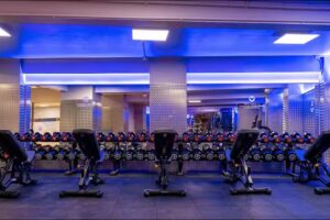 Gimnasio VivaGym Platero