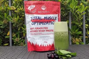 GoPrimal Fitness PlayGround