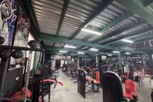 Gorillas Gym