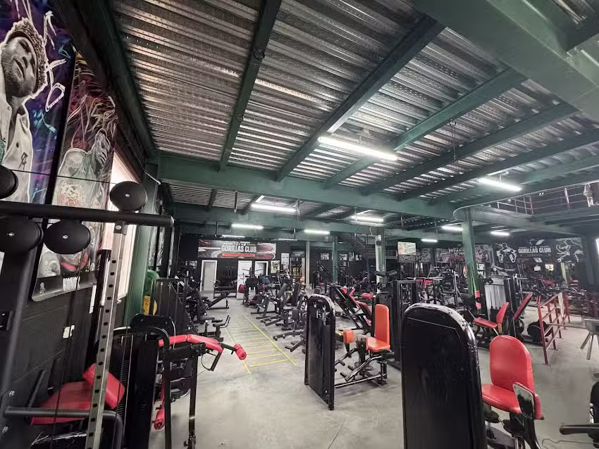 Gorillas Gym