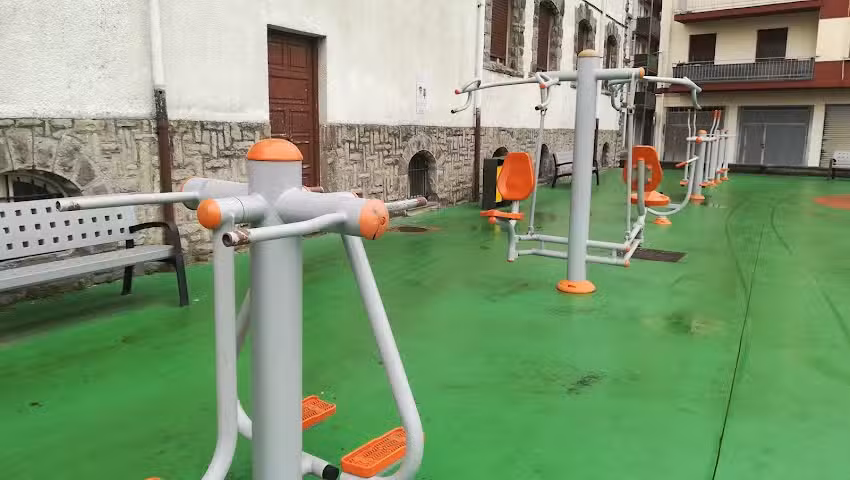 Gune Osasungarria /Zona Saludable