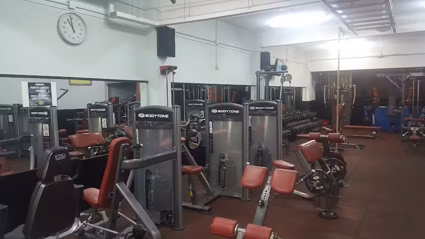 Gym Boxing Saus