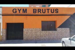 Gym Brutus