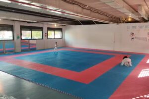 Gym Nisseishi Illescas