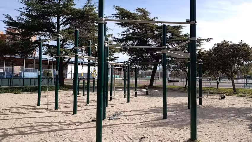 Gym Park Calistenia