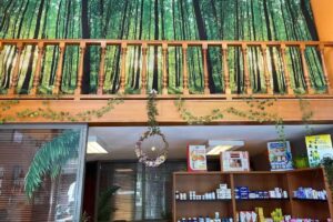 Herbolario Flor de la Vida en Gijón | Flores de Bach, Reiki..