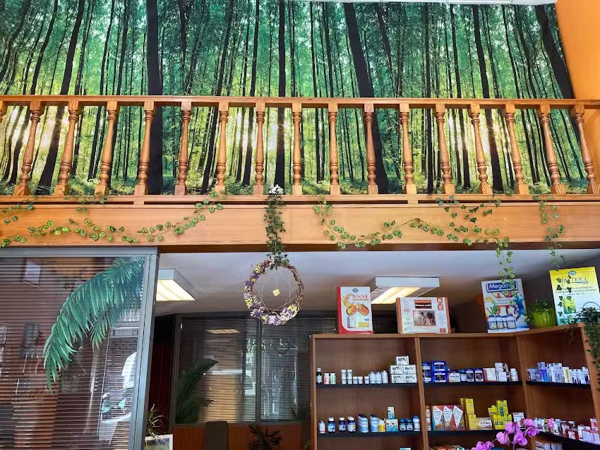 Herbolario Flor de la Vida en Gijón | Flores de Bach, Reiki..