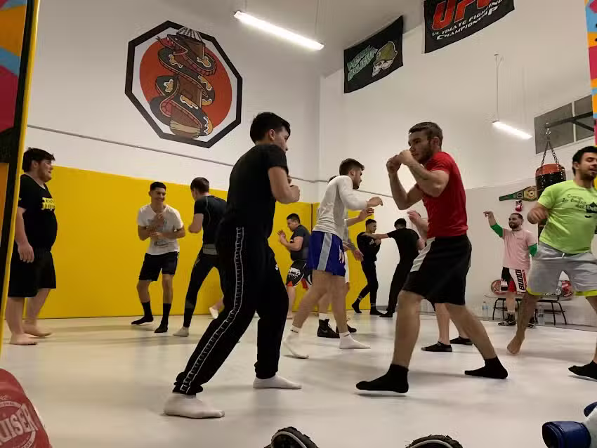 Hibera Ludus – Fight Academy