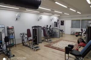 Histzone & Salus Ametlla