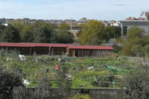 Huertas Urbanas Somi&oacute;