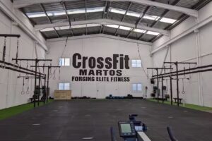 Hybrid Method Martos