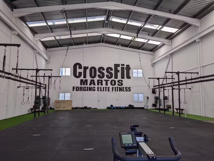 Hybrid Method Martos