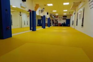 Ikigai Entrenamiento Personal® // Escuela de Judo Seiza® CDE