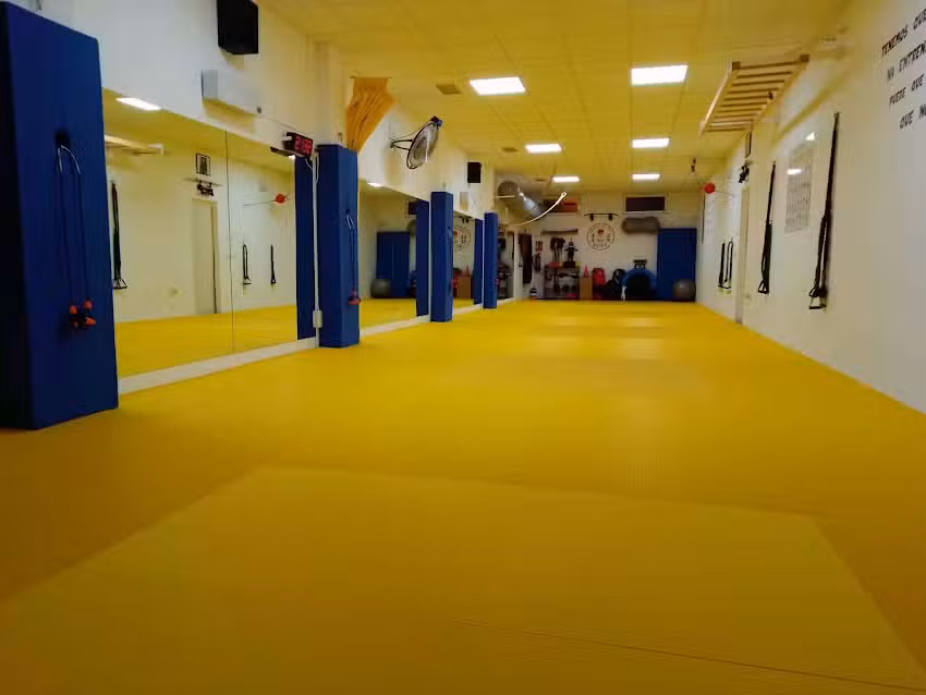 Ikigai Entrenamiento Personal® // Escuela de Judo Seiza® CDE