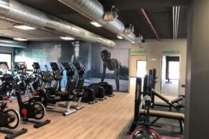 Inacua Aranda de Duero