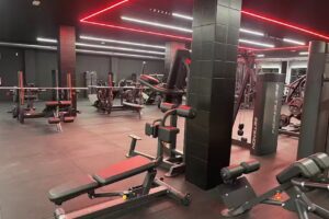 Inside Muscle Fitness