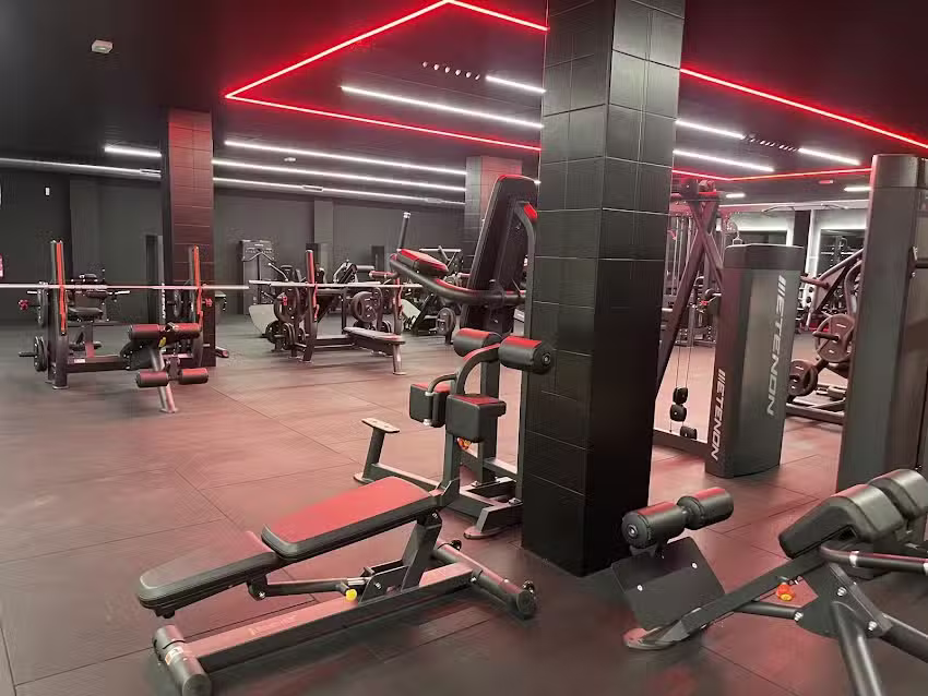Inside Muscle Fitness