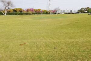 Inst. Deportiva La Cartuja