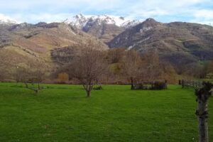 Instalaciones deportivas de Collanzo