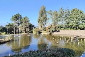 Instinto Deportivo CDU Vigo